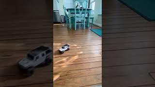 Milo the truck cat vs RC car