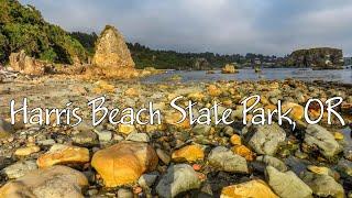 Harris Beach State Park, Oregon