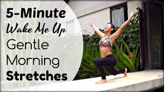 5-Minute Morning Stretches to Power Your Day