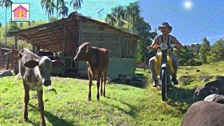 This may be THE FAVORITE FIELD IN JARABACOA Dominican Republic Francis Diaz