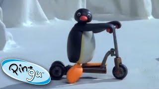 The NEW Scooter!  | Pingu - Official Channel | Cartoons For Kids