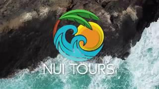 OAHU CIRCLE ISLAND TOUR