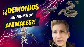 ¡¿Demonios representados en animales?!     Iglesia Pentecostal de Chile #MiguelSanchezAvila