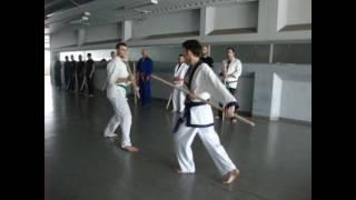 2nd Annual Ju Jitsu Seminar of Hellenic Network - Kumi Bo Introduction