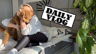 DAILY VLOG : małe CLEAN WITH ME  moje roślinki🪴