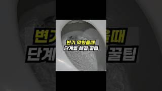 변기 막혔을때 단계별 간단 해결 꿀팁