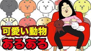 犬・猫・うさぎ・ハムスター・動物園にありがちなこと【漫画動画】