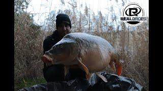 CarpFishing La gran escama - Real Drops