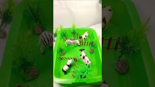Mini Diorama Animal Toys Asmr #asmr #shorts