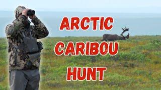 Alaska Caribou Hunting Adventure!