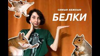 Белки, которые нужно знать!