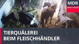 Vorwurf Tierquälerei: Razzia bei Fleischhändler