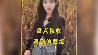 盘点秋收遇到的孽缘苞米地偶遇娃娃亲，好像被她嫌弃了#遇见她