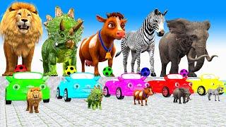 5 Giant Duck Cartoon Lion,cow, elephent, zebra Paint Wild Animals Crossing Fountain Animation #2024