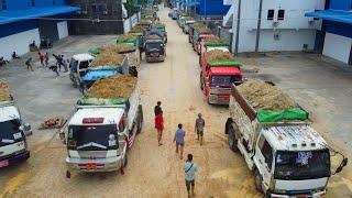 Amazing Project Dump Truck 5-T Filling Up Land With Dozer D58P KomATsu Push Soil expertly, Mix VDO