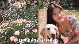 t-tutorial: como fazer capa soft