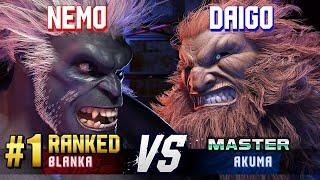 SF6 ▰ NEMO (#1 Ranked Blanka) vs DAIGO (Akuma) ▰ High Level Gameplay