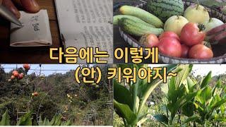 Another way to grow garden crops / This is what I'll do next year or not