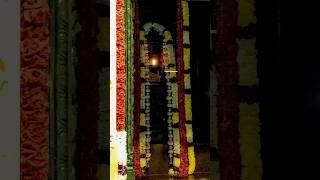 SATYALOKA BHAGAVAN SONG || AMMA BHAGAVAN SONGS || CONTEMPLATION || AMMA BHAGAVAN.#ammabhagavan#kalki