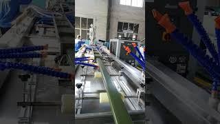 LDPE Profile Making Machine / PE Solid Board Extruder Machine to America Customer +8613969891023