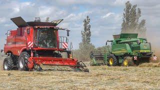 Gras dreschen mit Case Axial Flow 5140 und 2x John Deere