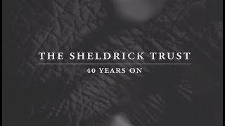 The Sheldrick Trust - 40 years on | Sheldrick Trust