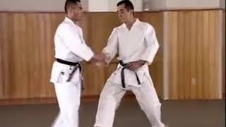 Aikido Yoshinkan (guía técnica) 1