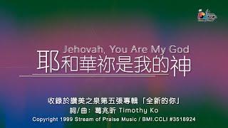 【耶和華祢是我的神 Jehovah, You Are My God】官方歌詞版MV (Official Lyrics MV) - 讚美之泉敬拜讚美 (5)