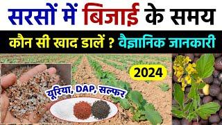 सरसों में बिजाई के समय कौन सी खाद कितनी मात्रा में डालें | Fertilizer for Mustard | Sarso ki Kheti