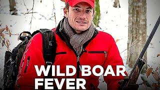 The best from wild boar fever - Wild boar hunting 2021 - Hunting - driven hunt