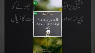 Hikayat E saadi | moral stories | #hikayaturdu #shortvideo #viralvideo #vtuber #fyp #top #quotes