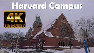 Harvard University | 4K Campus Walking Tour | Science Center + Memorial Hall + Arts Museum