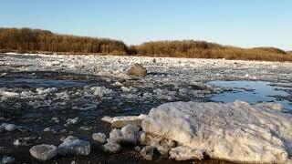 Ледоход на реке Сысола(Icebreaker on the Sysola River) 19.04.2021