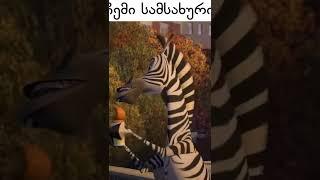 ჩემი სამსახური #qartulad  #მადაგასკარი #madagascar #zebra  #coub #funny  #funnyvideo #funnyvideos
