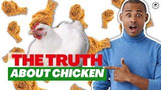 Broiler Chicken Facts that Will Change the Way You See Food | Afro-Vegan Society