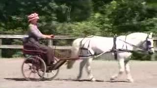 Teresa Alexander -  Novice Pony Reinsmanship Test