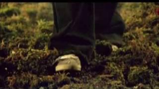 Hesam Yar Yar - To Hamooni