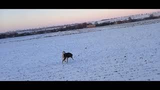 Поле як американські гірки.Меньше затрат чи меньше прибутку?