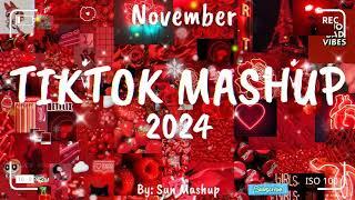 Tiktok Mashup November 2024 (Not Clean)