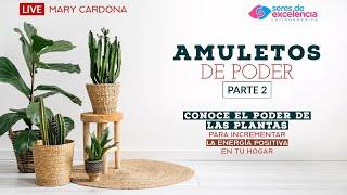  ¡Traemos la segunda parte de nuestra charla sobre amuletos de poder! 