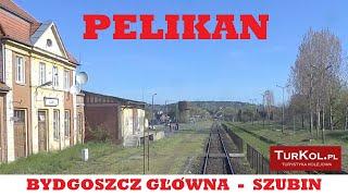 PELIKAN Bydgoszcz - Szubin [rearview] #turkol