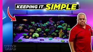 Creating a Stunning Tank with Basic Corals! | 150 Gallons Tank