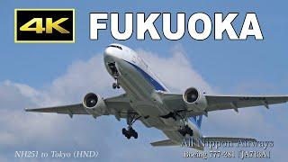 [4K] Plane spotting at Fukuoka Airport on October 9, 2024 / 福岡空港 / Fairport