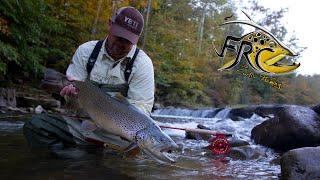 Fly Fishing for Huge Brown Trout in West Virginia