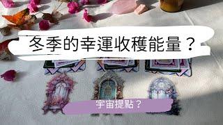 塔羅占卜冬季的幸運收穫能量？ 事業/感情/生活 |艸艸Tarot | Pick a card.