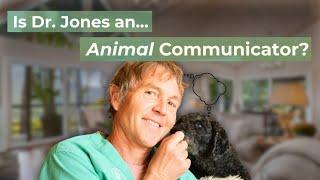 Animal Communication for Beginners: 10 Step Plan