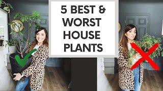 5 BEST & WORST House Plants: The EASIEST Favorites & the ones that are the MOST WORK