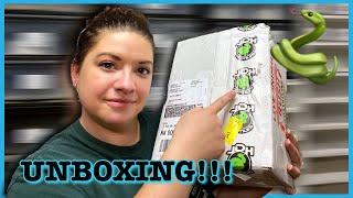 BALL PYTHON UNBOXING FROM JDH REPTILES! Adding to the Collection  | Ball Python Breeding