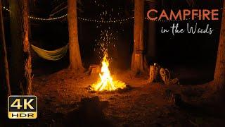 4K HDR Campfire in the Woods - Crackling Fire & Cricket Sounds - Relaxing Nighttime Camping Ambiance