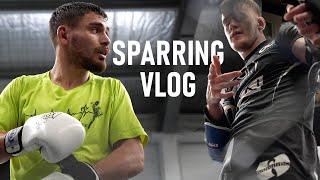 Absolute Sparring Vlog (the return)